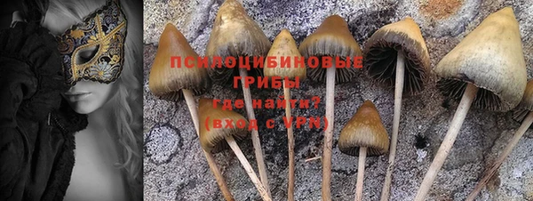 мескалин Абаза