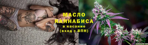 гидра Новодвинск