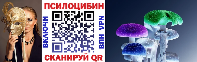 Галлюциногенные грибы Psilocybine cubensis  цены   Краснозаводск 